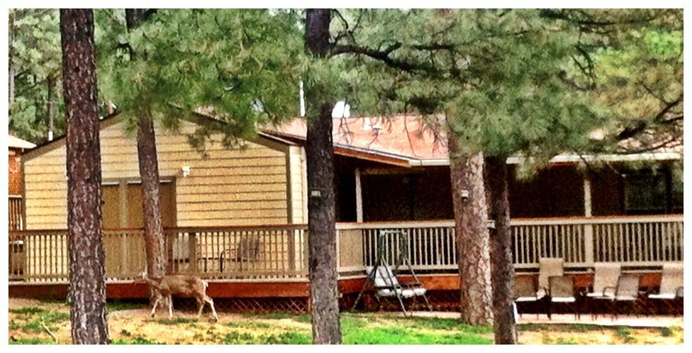 Village Lodge Ruidoso Exterior photo